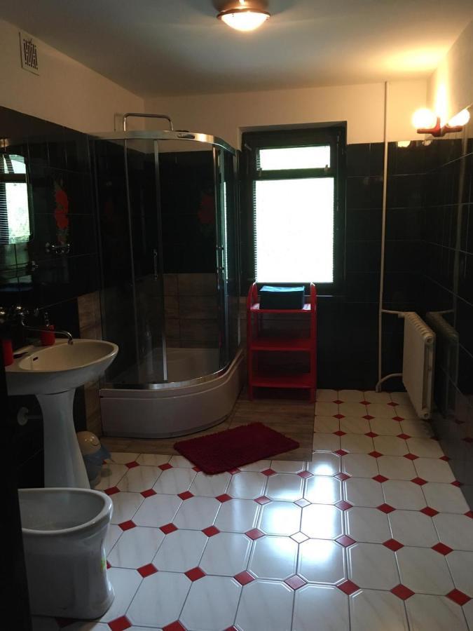 Forest Villa Susiec ภายนอก รูปภาพ